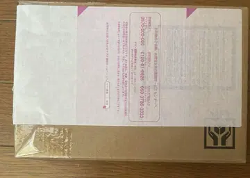 S.H.Figuarts (진골 조각 제법) 가면라이더 W 사이클론 스컬