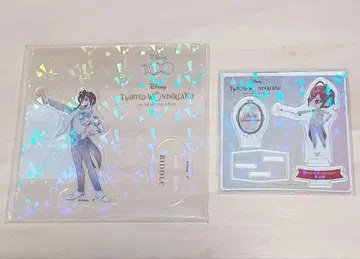 트위스트 리들 D100 플라티나 자켓