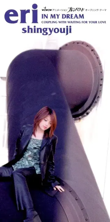 8cm CD 신코지 에리 IN MY DREAM