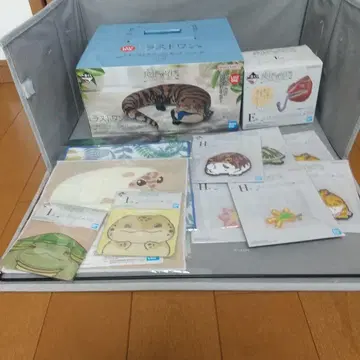 파충류&양서류 제일복권 푸른혀도마뱀 라스트원