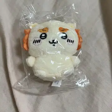 치이카와 시사 미니 봉제 인형