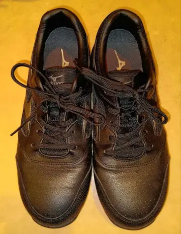 Mizuno 안전화 26.5