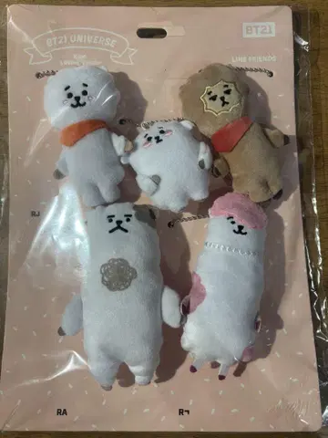 BT21 패밀리 마스코트 Universe RJ