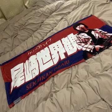 오자키 세카이칸 이타 타월