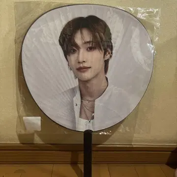 원빈 부채