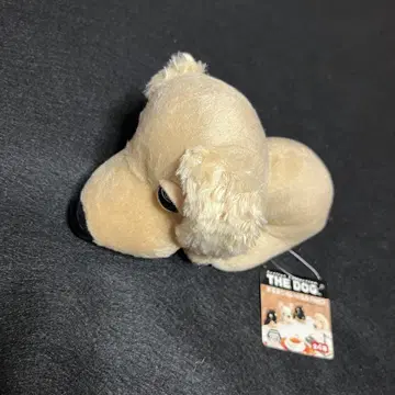 익명 배송 닥스훈트 귀여운 봉제 인형 미사용 새상품
