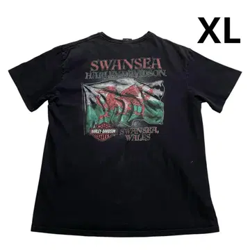 할리 데이비슨 웨일스 T셔츠 XL 블랙 V넥 스컬 해골