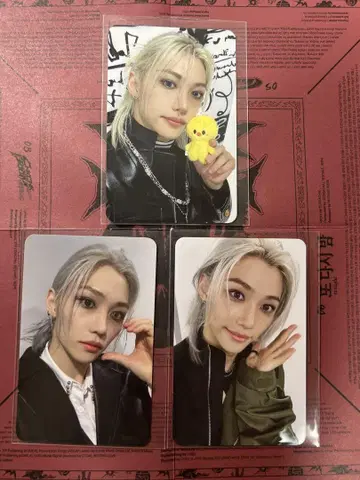 스키즈 dominATE 스테이 존