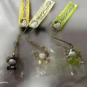 키티베어 이야기