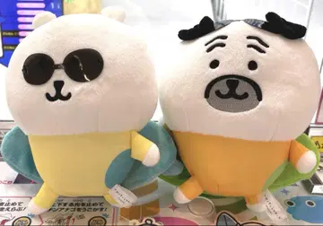 나가노 캐릭터 서핑 봉제 인형 곰 퍼그 세트
