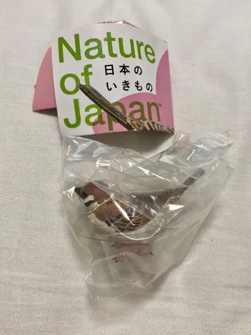 Nature of Japan 일본의 생물 03 참새 가챠가챠