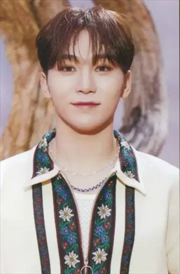 세븐틴 타워 레코드 SEUNGKWAN FACE THE SUN