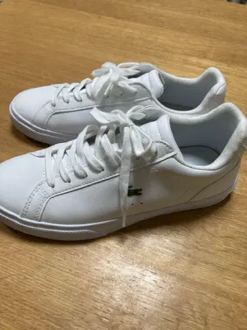 Lacoste 화이트 스니커즈 24.5 새상품급 라코스테
