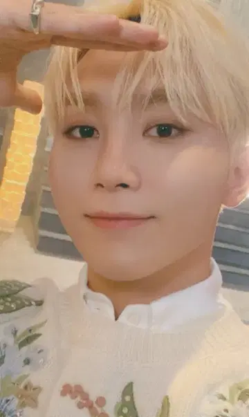 SEVENTEEN 회장 한정 SEUNGKWAN DREAM 오사카