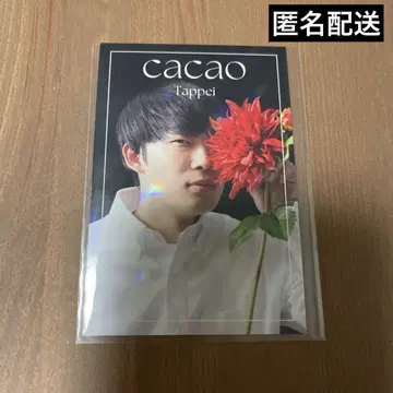 cacao 타페이 요시모토 코레카 6 플라워 카드