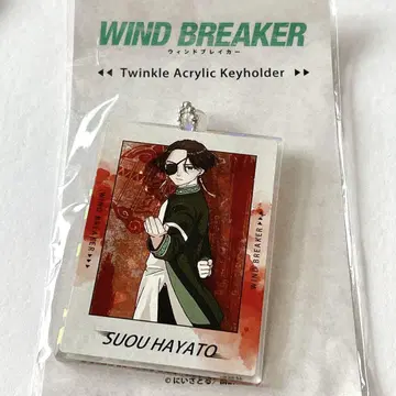 소방슌비 WIND BREAKER 트윙클 키링 원작 그림