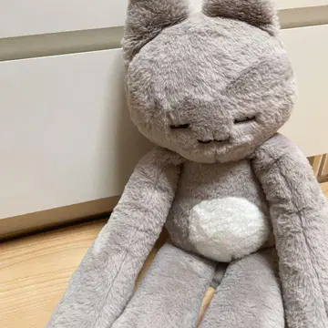 THE BOYZ 주영 봉제 인형