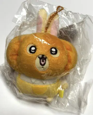 치이카와 (먼작귀) 분장 신난다~! 마스코트 호박 토끼 할로윈