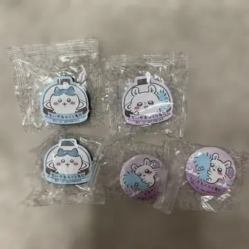 치이카와  세트