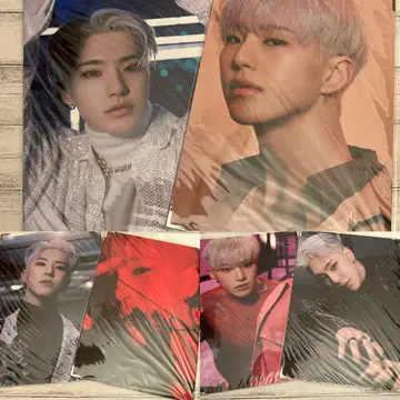 seventeen 세븐틴 spider 호시 프리미엄 사진 6매 세트