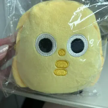 키스마이 스크리머즈 옐로우 타마모리 군