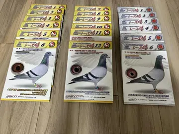 레이스 비둘기 24년 1월~25년 6월호 18권 세트