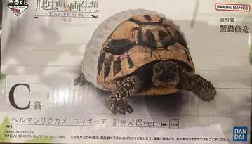 파충류 및 양서류 제일복권 C상 헬만리쿠가메