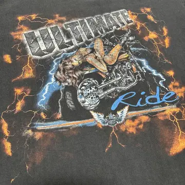 00s ULTIMATE Ride HARLEY DAVIDSON 프레임