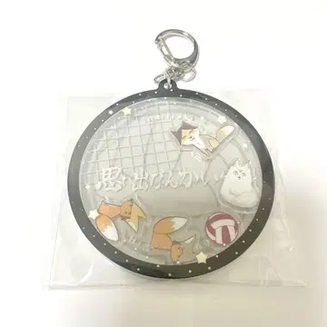 [ 익명 배송 ] 이나리자키 와챠코로