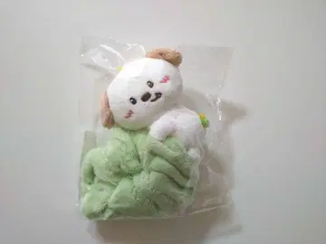 RIIZE 앤톤 슈슈