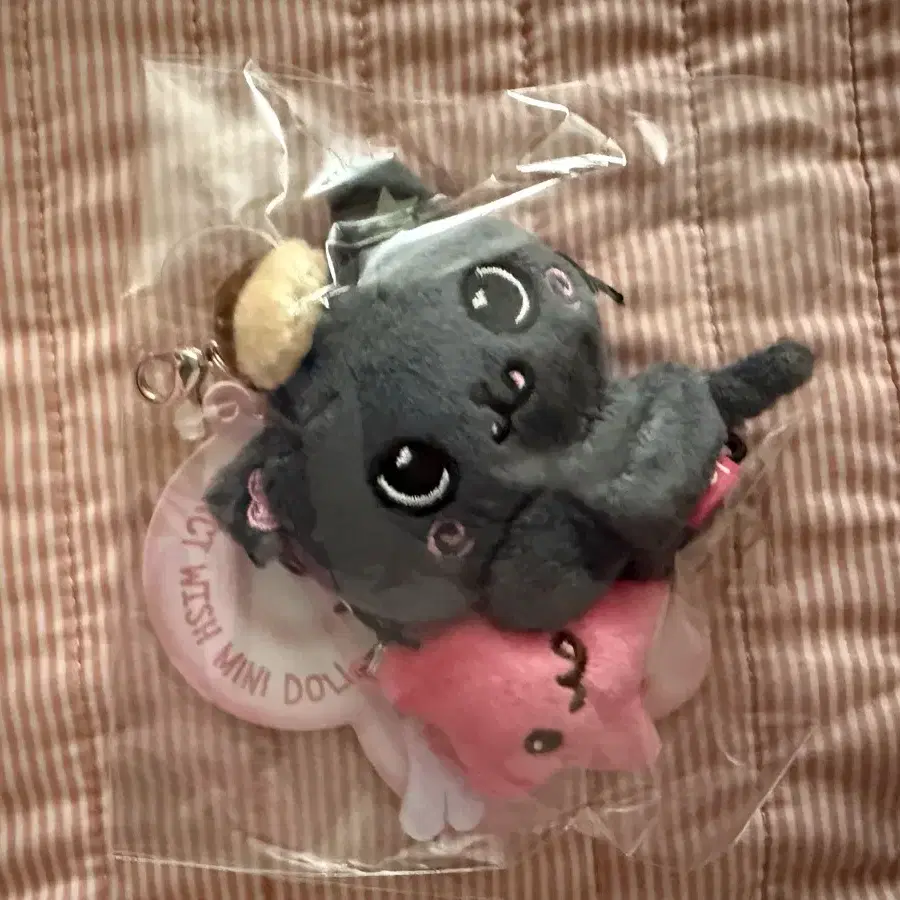 NCT | 엔시티 (Sealed) NCT Wish Mini Doll Kuri Riku on