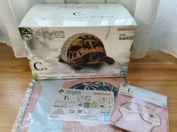 제일복권 파충류 및 양서류 C상 헬만리쿠가메 덤