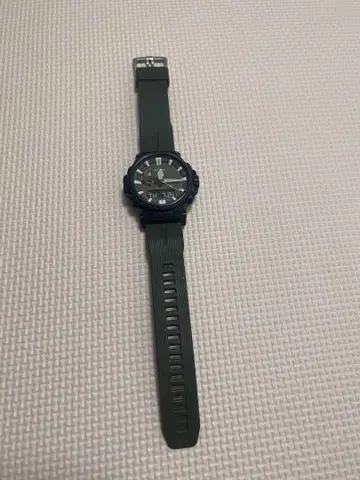 PROTREK PRW-60 블랙 워치