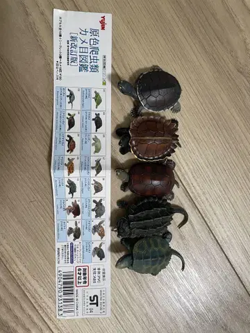 거북이 피규어 세트 새상품급