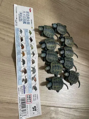 꼬부기 피규어 10개 세트
