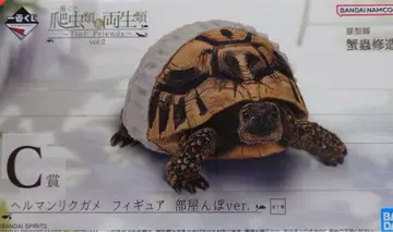 제일복권 파충류&양서류 C상 헤르만 육지거북 피규어