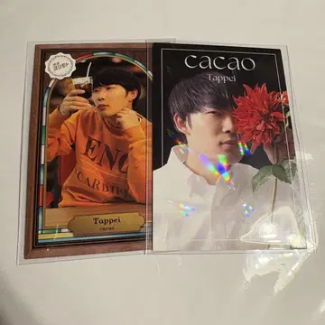 요시모토 콜레카 cacao 탓페이