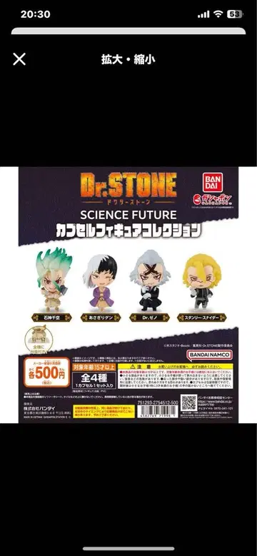 닥터 스톤 Dr.STONE 캡슐 피규어 컬렉션
