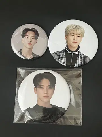 SEVENTEEN 캔뱃지 호시