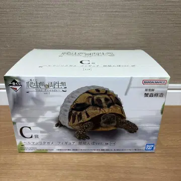 제일복권 파충류&양서류 C상 헤르만 육지거북 피규어 방 안 산책