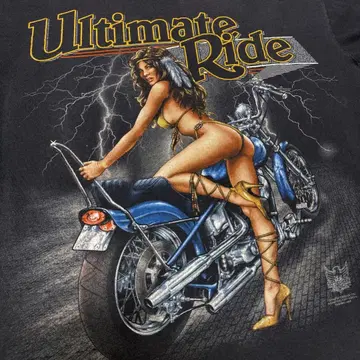 90s ULTIMATE HARLEY DAVIDSON 3Demblem