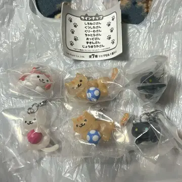 고양이 모으기 2 메지루시 액세서리 흰 고양이 차토라 오도 주킨
