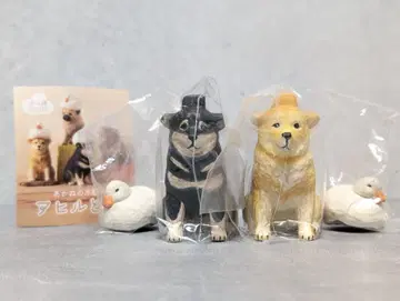 미개봉 아카네의 나무 조각 오리와 개 시바견 아카네 시바