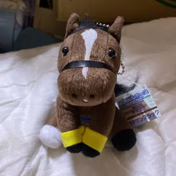 아이돌 호스 키타산 블랙 봉제 인형 마스코트