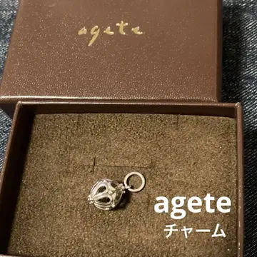 agete 아가트 실버 참 새장 모티브
