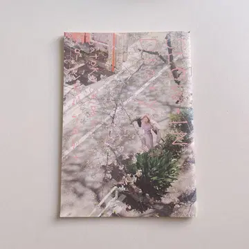 시바타 사토코 슬로우인 일지