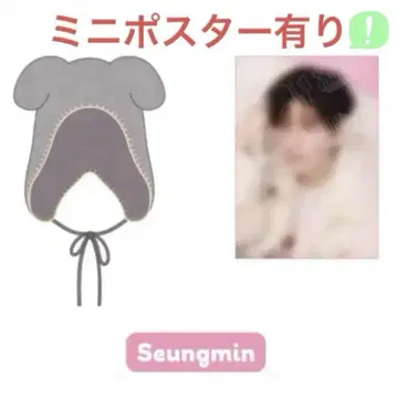 StrayKids 승민 비니