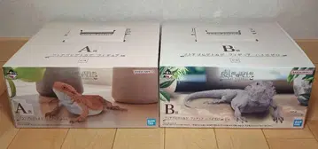 제일복권 파충류 및 양서류
