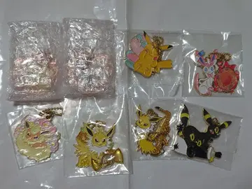 포켓몬 복권 참 세트 피카츄 부이즈