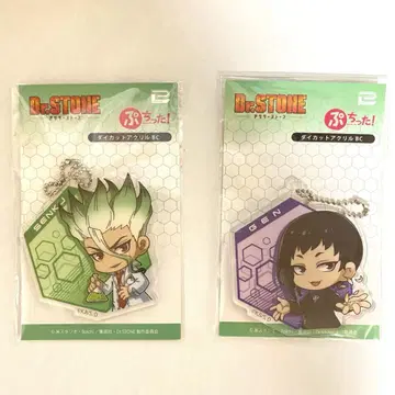 Dr.stone 센쿠 겐 다이컷 아크릴 BC 세트 !